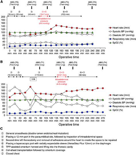 Haemodynamic And Pulmonary Parameters During The Procedure In The A Download Scientific