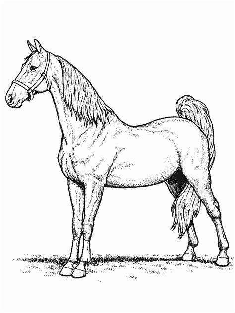 Dessins De Coloriage Cheval Imprimer Sur Laguerche Page