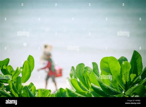 Ice Cream Beach Bikini Hi Res Stock Photography And Images Alamy