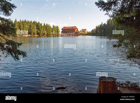 Black Forest In Bavaria Germany Untouched Nature With Mountains