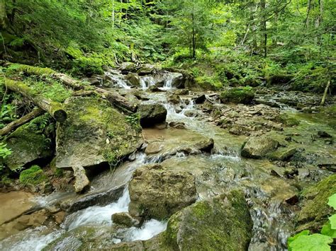 titular pretty river