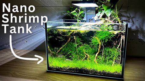 How To Make No Filter Nano Shrimp Tank Step By Step Tutorial