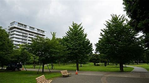 【ホームズ】芙蓉ハイツふじみ野市の賃貸・中古情報