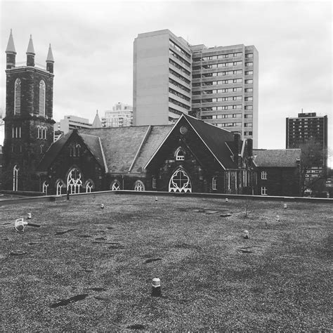 How Often Should You Clean Your Roof? - Lusoroofing