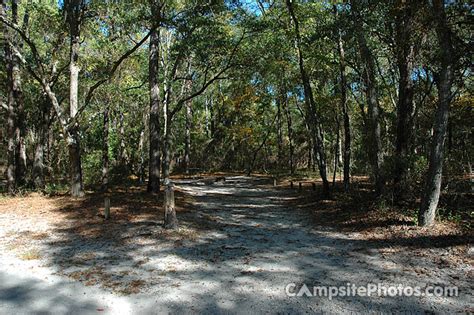 Carolina Beach State Park - Campsite Photos, Reservations & Info