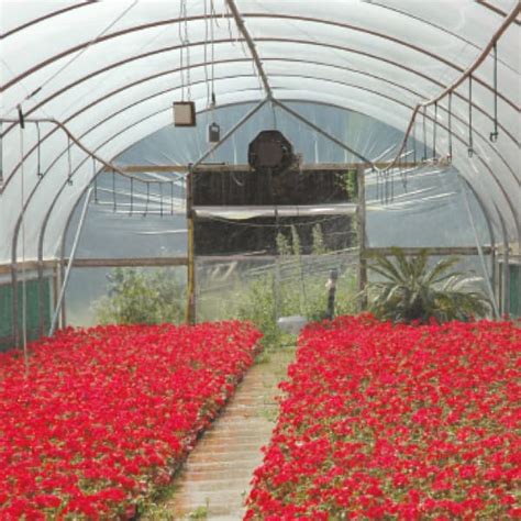 Polythene Tunnels Polytunnel Plastic LBS Horticulture