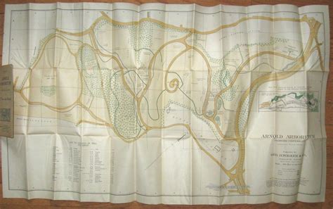 1900 Map Of Arnold Arboretum Showing Location Of The Trees And Shrubs