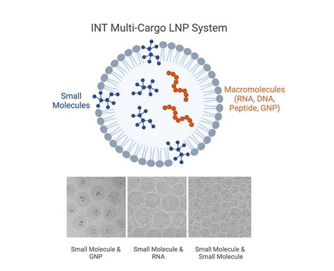 Drug Delivery Platform — Integrated Nanotherapeutics