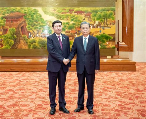 China S Top Legislator Holds Talks With Speaker Of Lower House Of