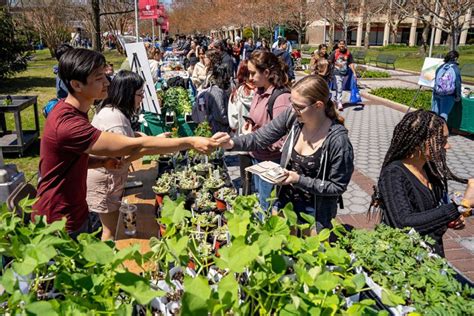 Celebrate Earthstock At Stony Brook Main Festival April 19 Sbu News