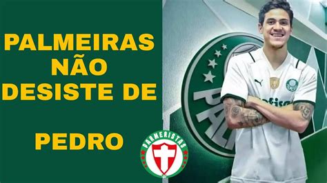 PEDRO AINDA PODE PINTAR NO PALMEIRAS ALLIANZ LOTADO PRA FINAL DA