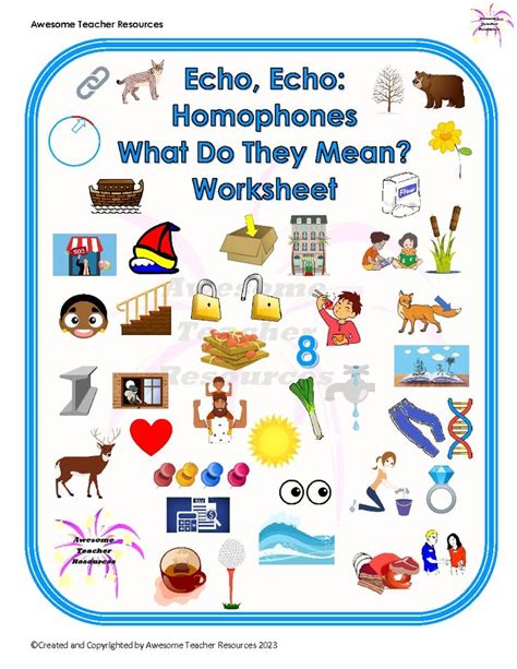 Echo Echo Homophones What Do They Mean Worksheet Homophones