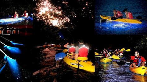 Kayaking Bioluminescent Bay Puerto Rico - Kayak Choices