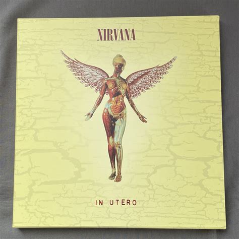 Nirvana In Utero 20周年記念盤 3cd Dvd ニルヴァーナ イン・ユーテロ Cd