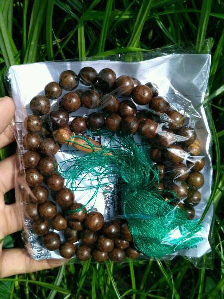 Jual Tasbih Gaharu Wangi Gaharu Buaya Bentuk Tasbih Di Lapak MAHDA KHAS