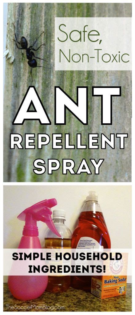 Forget Harsh Chemicals This Diy Natural Ant Repellent Spray Is Non