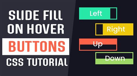 Slide Fill On Hover Buttons Css Css Buttons Effects Css Tutorials