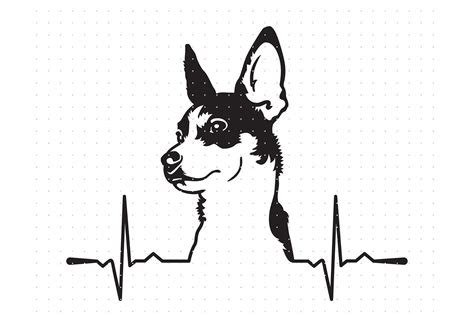 Rat Terrier Heartbeat Svg Graphic By Crafteroks · Creative Fabrica