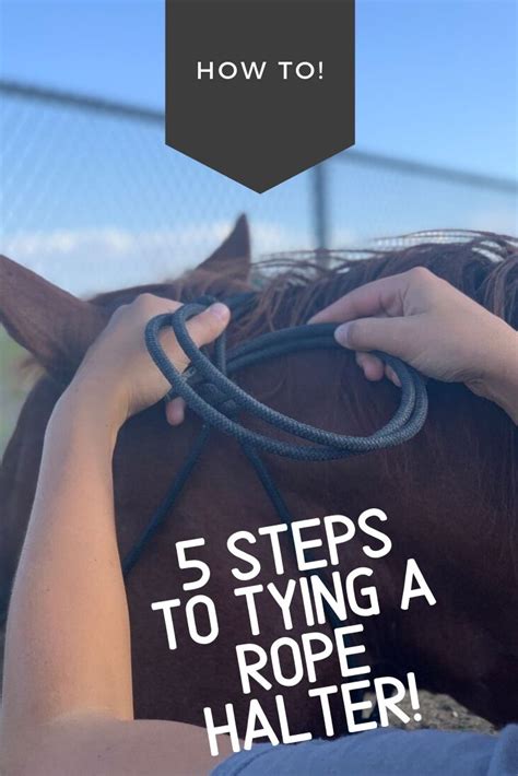 How To Properly Tie A Rope Halter Rope Halter Horse Training Tips