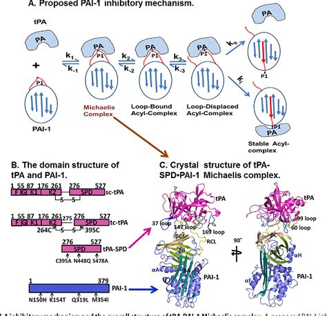 Figure From Crystal Structure Of The Michaelis Complex Between Tissue