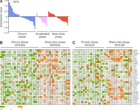 Gene Expression Profile In Bm Or Pb From Chronic And Bp Cml Patients