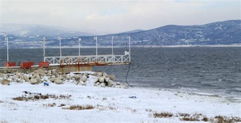 Dikkuyruk Rde I Kuruyan Burdur G L N Terk Etti