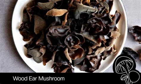 Wood Ear Mushroom: Mild and Chewy