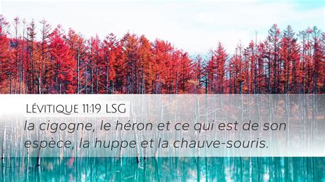 L Vitique Lsg Desktop Wallpaper La Cigogne Le H Ron Et Ce Qui