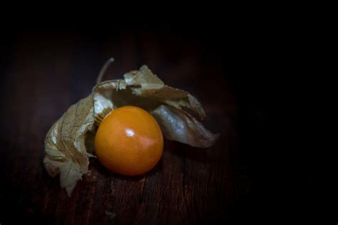 Round Yellow Fruit Physalis Physalis Peruviana Cape Gooseberry