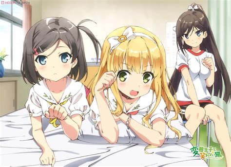 The Hentai Prince And The Stony Cat Mofumofu Lap Blanket Three Anime Toy Item Picture