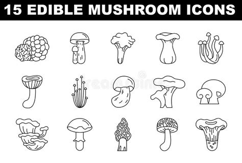 Edible Mushroom Black And White Icons Set Collection Of Natural Stock