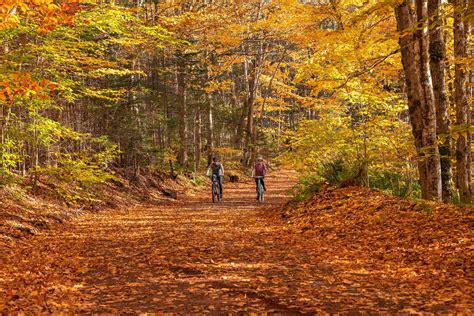 3 Adventurous Ways To Explore Prince Edward Island Canada