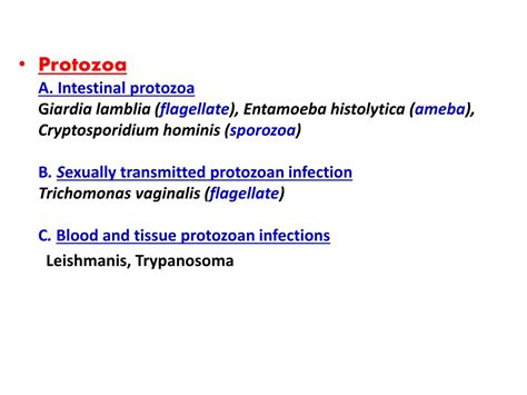 Ppt Medical Parasitology Dr Hala Al Daghistani Powerpoint Presentation Id9282115