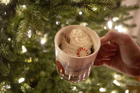 Peppermint Chocolate Mug Cake Recipe The Feather