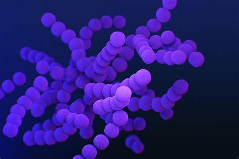 Vaccine profiles: Group B streptococcus (GBS)