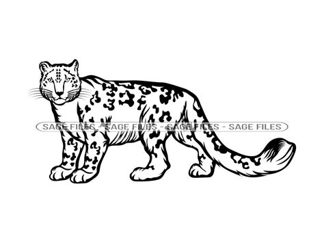 Leopard Face Clip Art