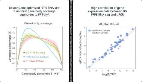 transcriptome sequencing bostongene
