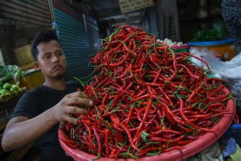 Harga Cabai Kian Pedas Tembus Rp120 000 Per Kg Partai Perindo Minta