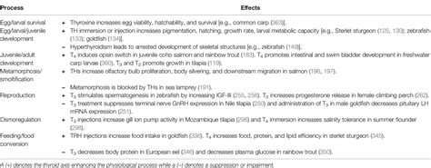 Frontiers The Role Of The Thyroid Axis In Fish