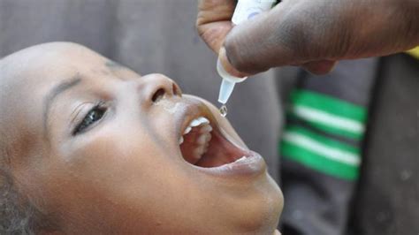 Nigeria Reaches Polio Milestone Bbc News