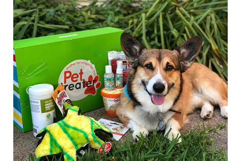 10 Best Pet Subscription Boxes - Best Choice Reviews