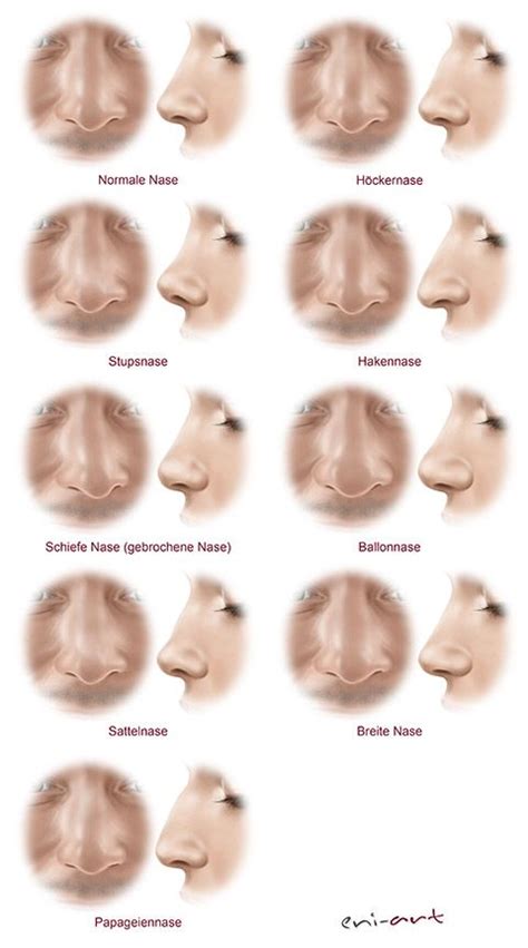 Typen Von Nasen Rhinoplasty Nose Jobs Pretty Nose Nose Shapes