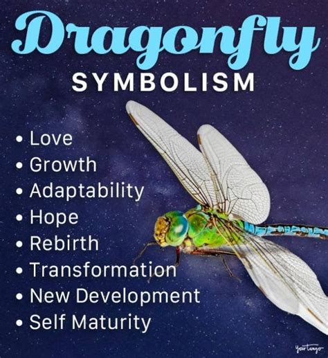 Dragonfly Symbolism Unveiling Spiritual Meanings