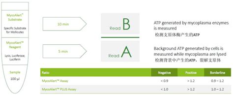 【评测】lonza支原体快检试剂盒 检测 污染 细胞