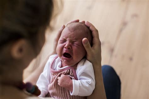 B B Qui Pleure Pourquoi Faut Il Le Consoler