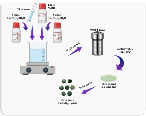 Schematic Illustration Of Hydrothermal Synthesis Of The Delafossite Download Scientific Diagram