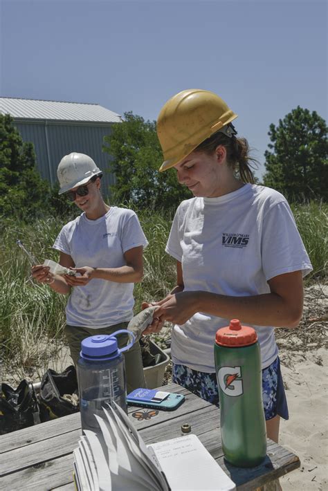 Research Team Uses Vibracore For Sediment Sampling Flickr