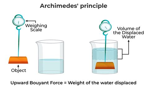 Vector Scheme Of Archimedes Buoyancy Principle Law Of Physics Buoyant