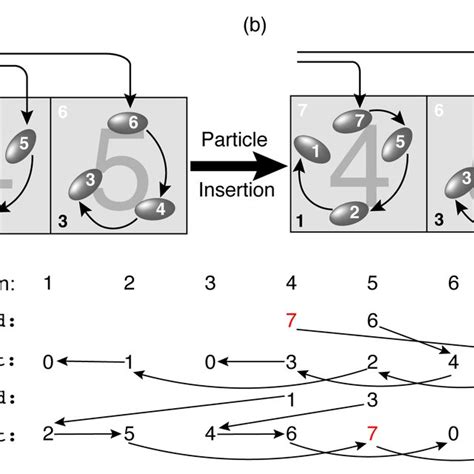 Schematic Diagram For Particle Insertion In Cell Lists A Original