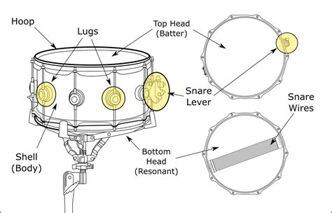 Snare Drum - From Bum To Drum